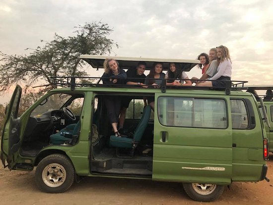 How to travel on a Budget Safari to Uganda