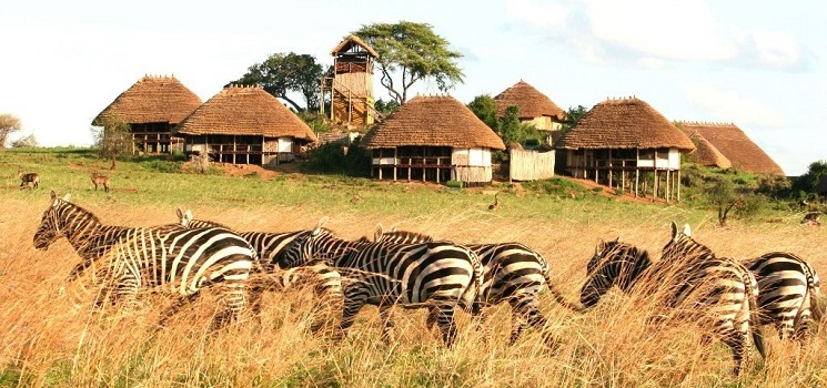 6 Days Pian Upe And Kidepo Wildlife Safari