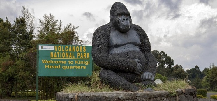 2 day Rwanda gorilla tracking tour to Volcanoes National Park