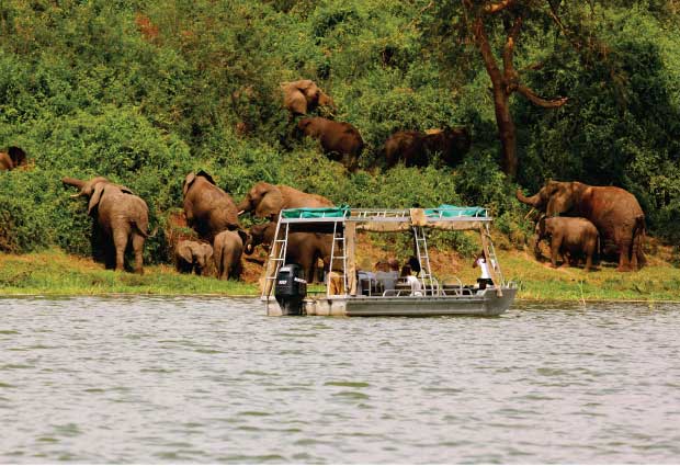  20 Days Uganda wildlife Safari Tour