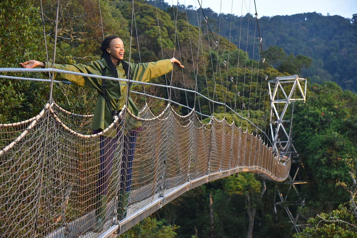 Nyungwe forest national park