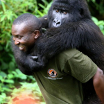 8 Days Best of Virunga