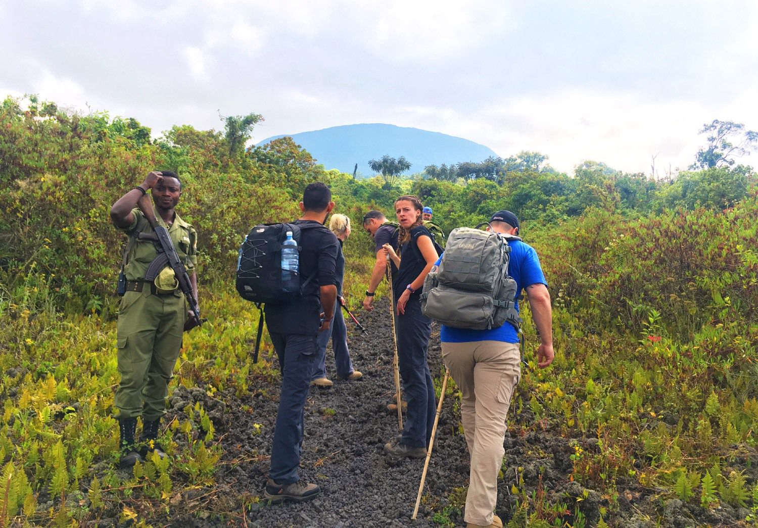 6 Days Virunga & Volcanoes Gorilla Trekking safari